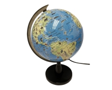 SCIENCE - Globe with animals and light 20 cm (TY6190)